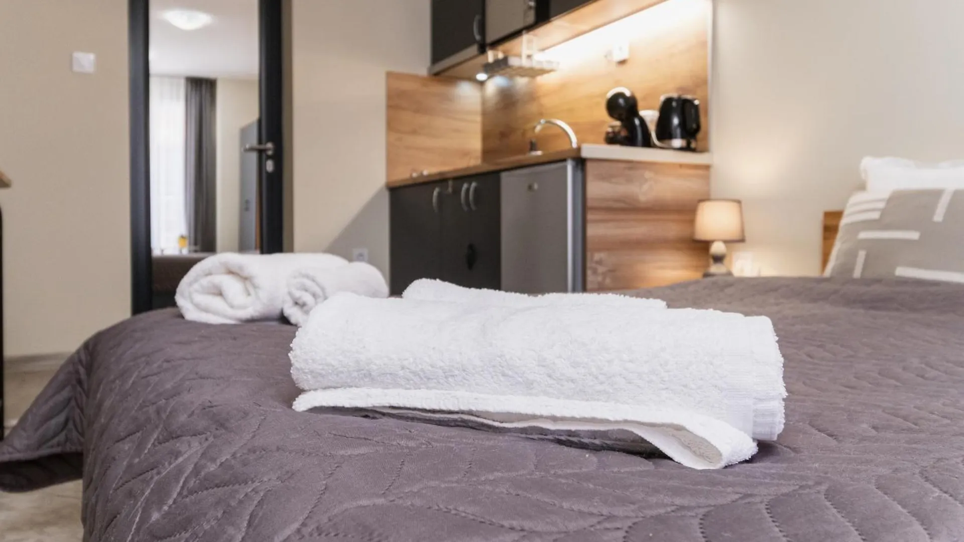 City Center Studio Apartments プロヴディフ